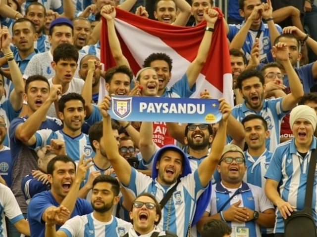 Novorizontino x Paysandu: Saiba Onde Assistir, Previsões e Escalações da Série B em 16/11/2024