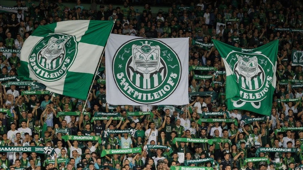 Como o Palmeiras confirmou a previsão