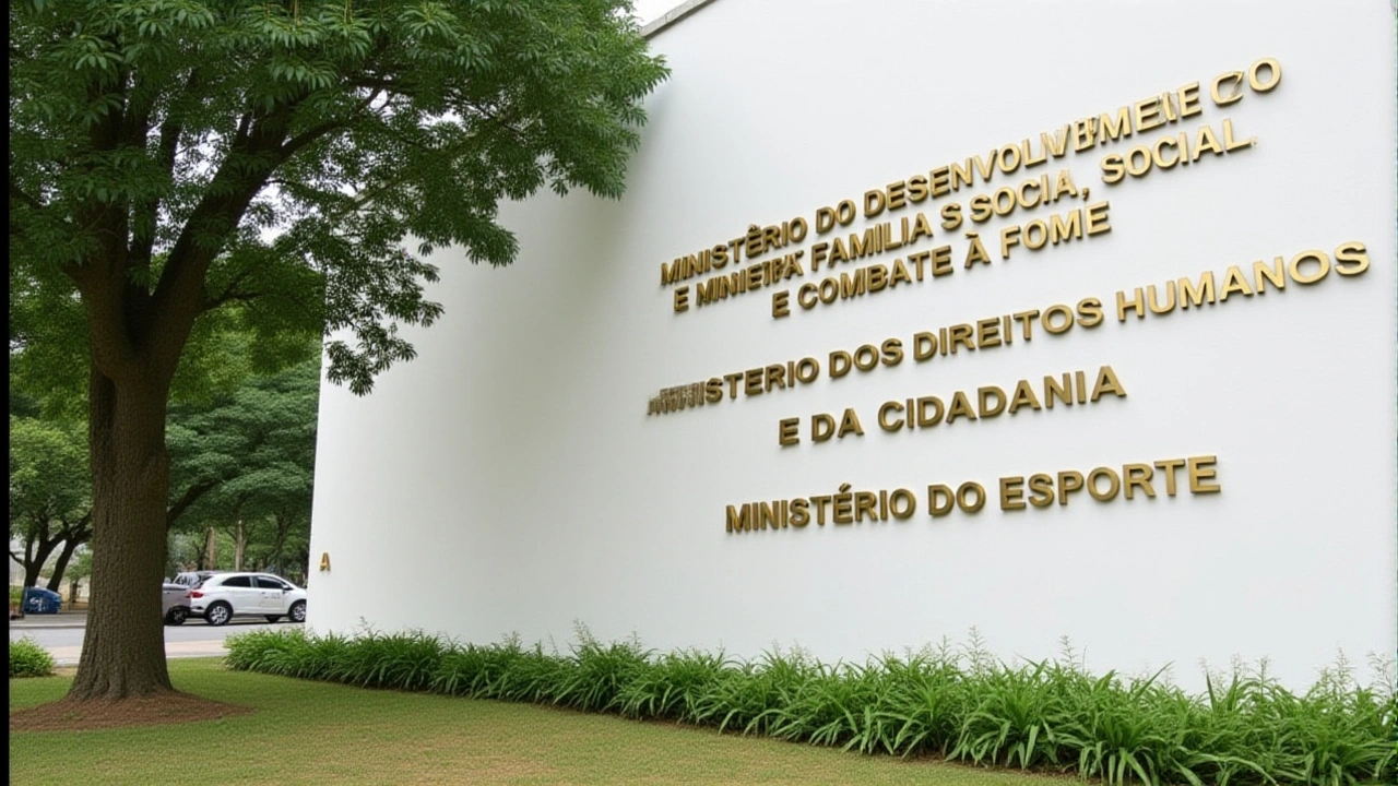 Próximos passos e possíveis desdobramentos