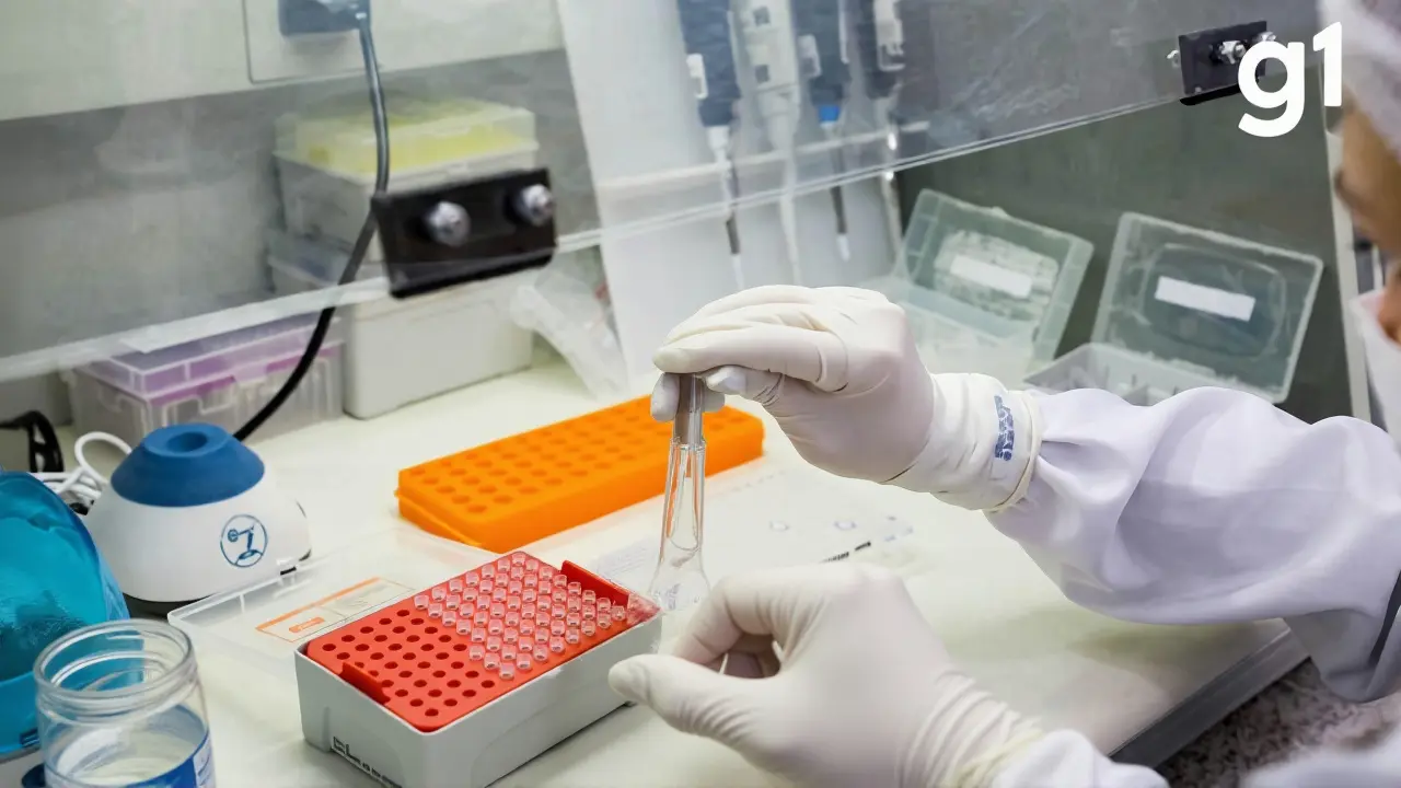 A Presença Simultânea da Variante Arcturus