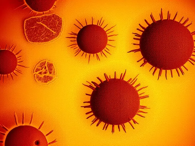 Nova variante XFG da Covid-19 já está em seis estados do Brasil